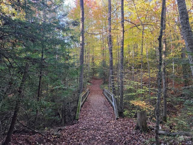 Stephen's Gulch Conservation Area - Image 1