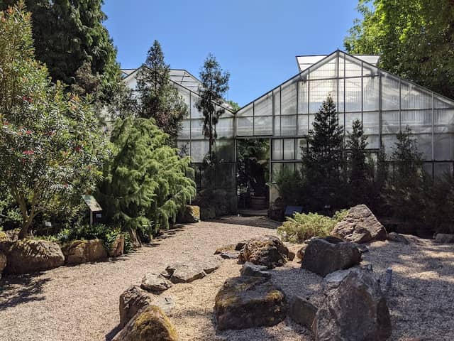 Botanical Gardens Pinetum Blijdenstein - Image 1