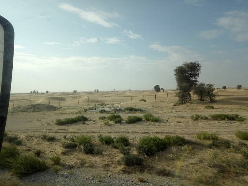مكب البلديه لهباب - Image 1