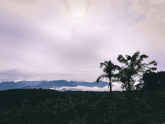 Alakkalpara view point - Image 1