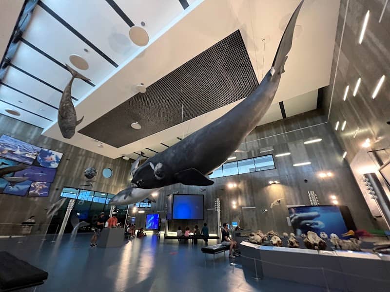 Whaling Museum of Madeira - Image 2