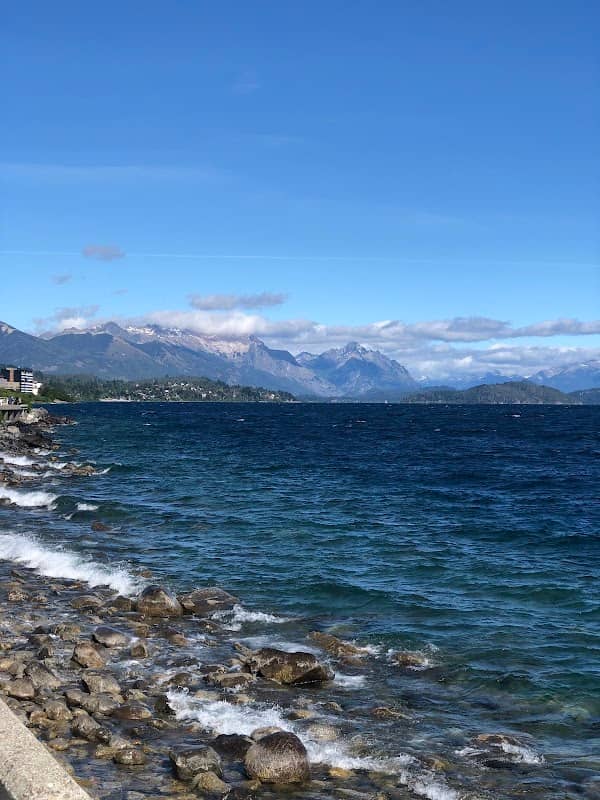 Totems del Nahuel Huapi - Image 1