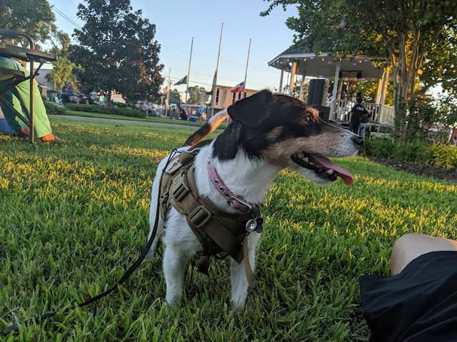 Veterans Park - Image 2