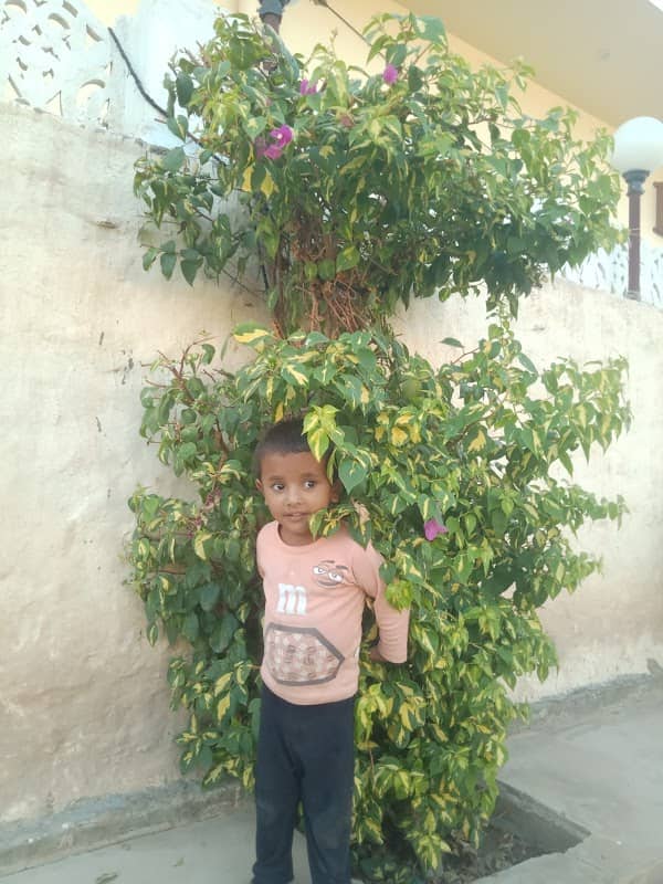 Abdullah Heaven - Image 1