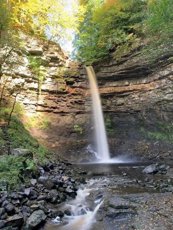 Hardraw Force - Image 2
