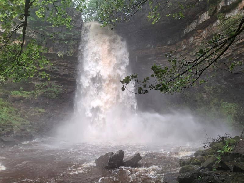 Hardraw Force - Image 1