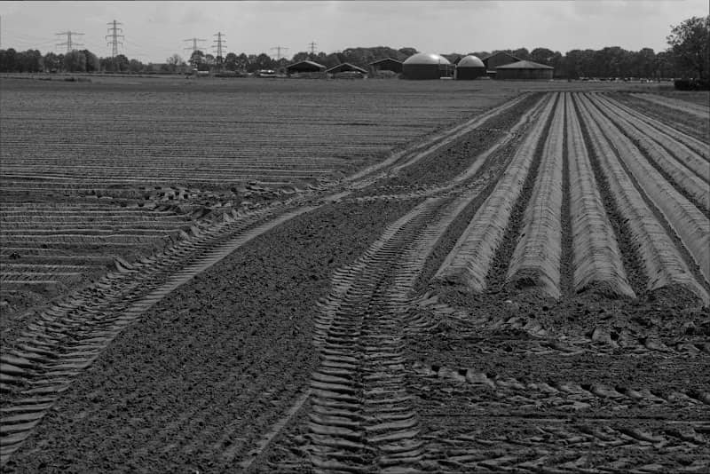 Tuinmest Achterhoek - Image 1