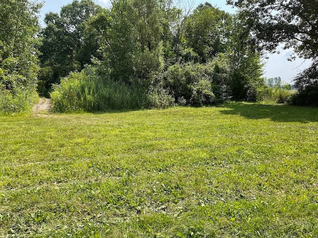 Michigan Air Line Trail - Image 1