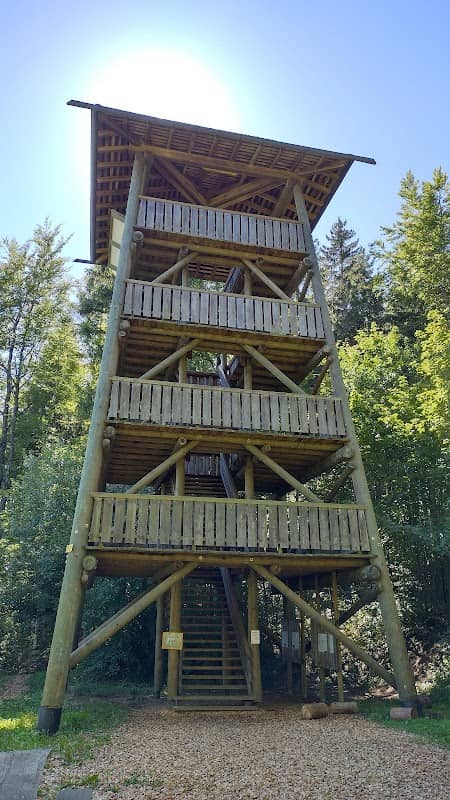 Le Donjon du Bois des Brigands - Image 1