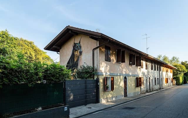 Dobermann gigante di Giulio Masieri - Image 3