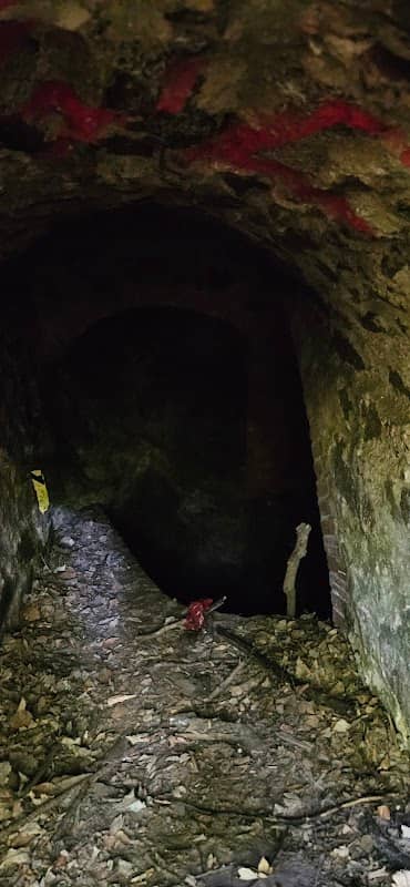 Höhle am Wegesrand - Image 1