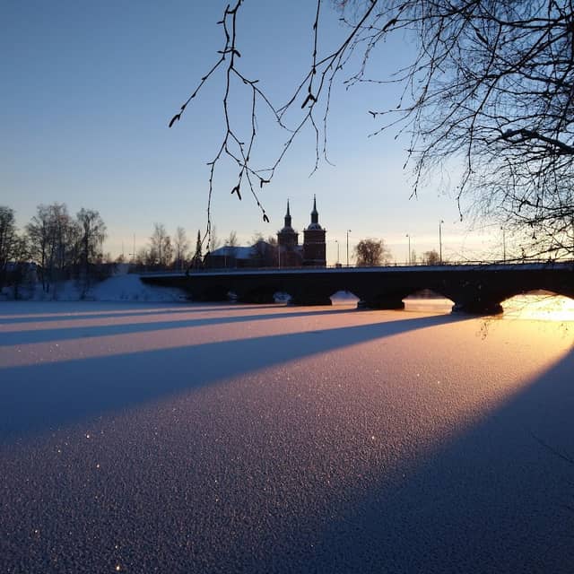 Torisevankadun Puisto - Image 1