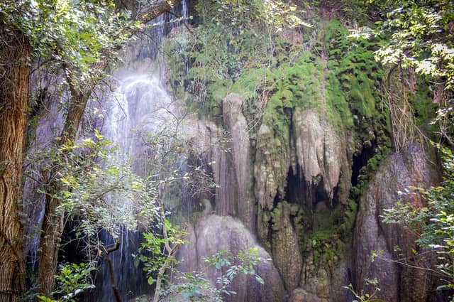 Gorman Falls - Image 2