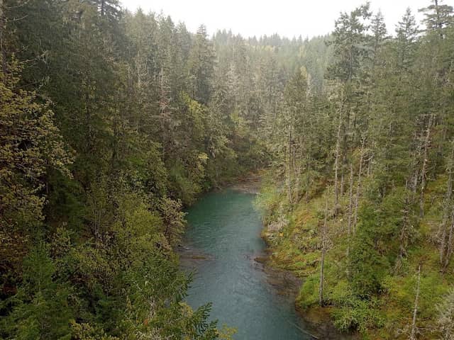Holt Creek Trestle - Image 1