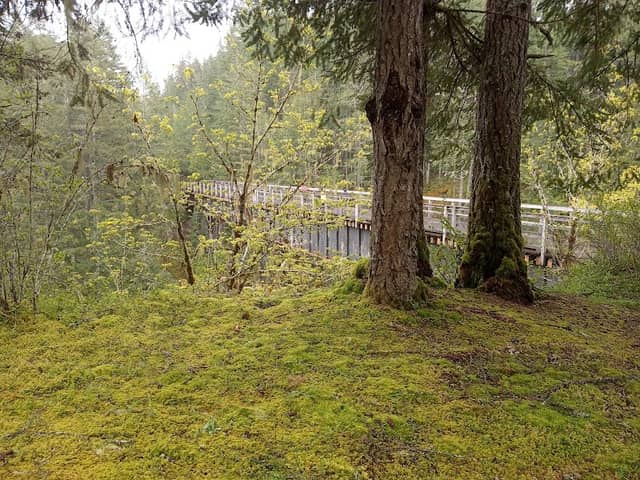 Holt Creek Trestle - Image 2
