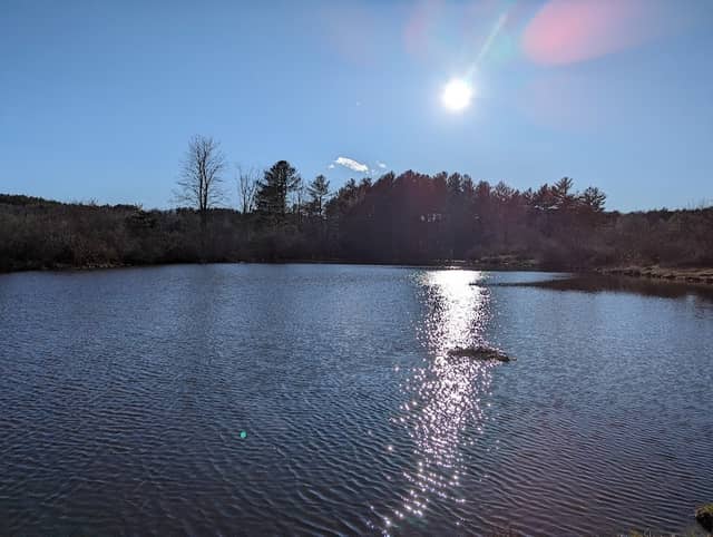 Bellamy River Access Wildlife Preserve - Image 1