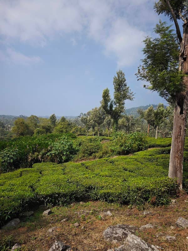 Poopara Photo & View Point - Image 1