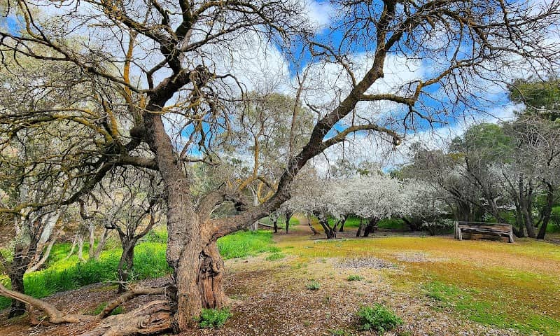 Go See Play Trail 5 Cobbler Creek - Image 2