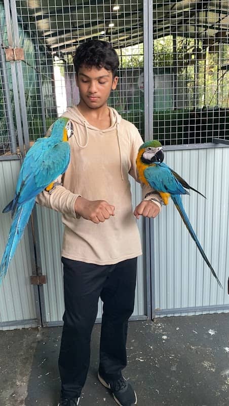 Areekal Exotic Birds Park - Image 1