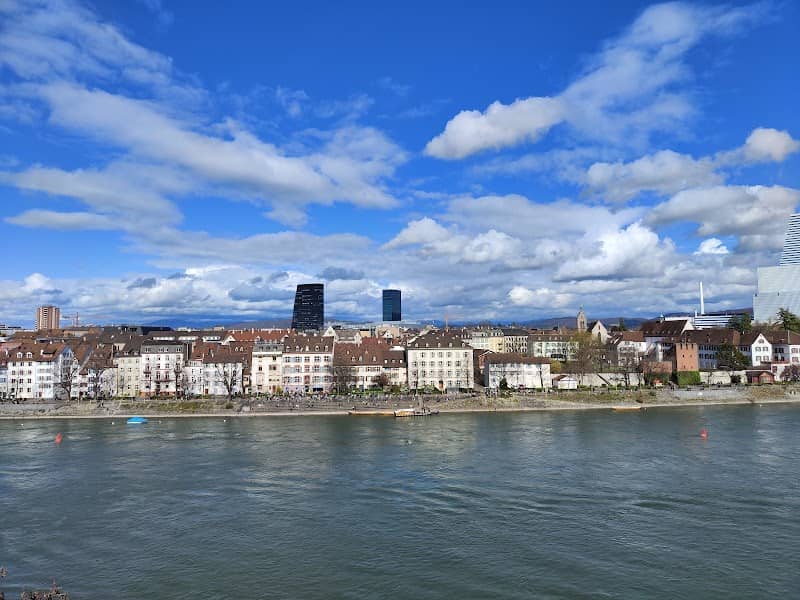 Rhine River Cruises - Image 1