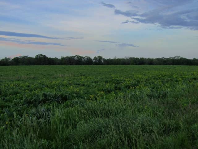 Point Pleasant Wetland - Image 1