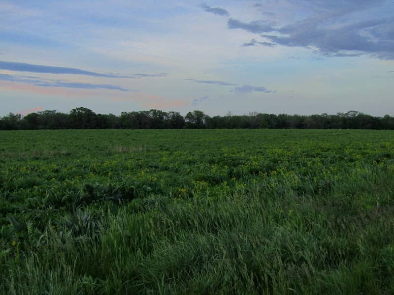 Point Pleasant Wetland - Image 1