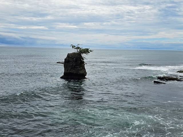 Tombay - Image 2