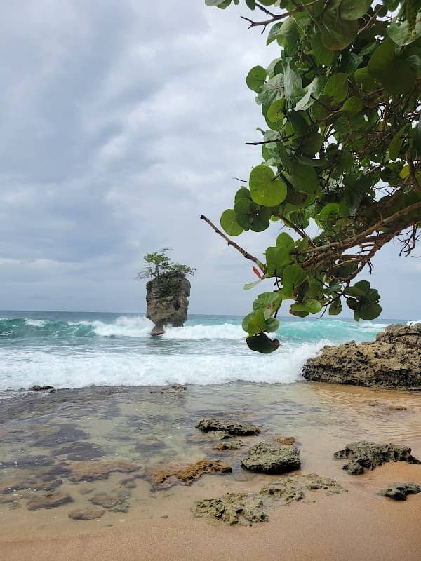 Tombay - Image 1