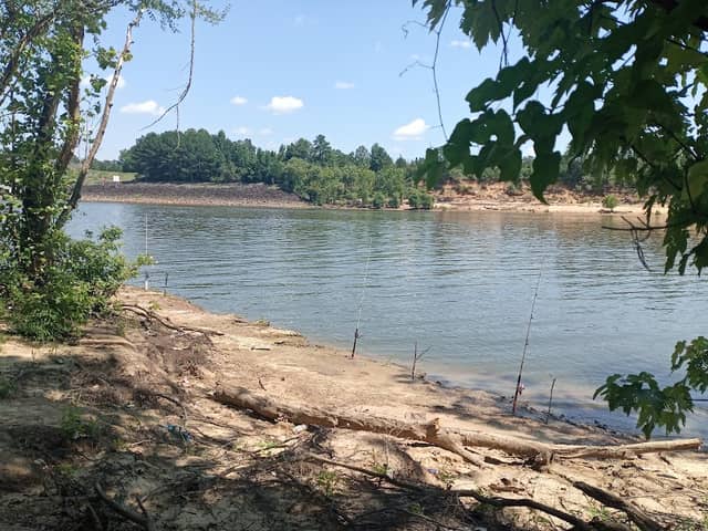 Bessemer Gardens Park - Image 2