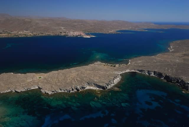 Petrified Forest of Lesvos - Nissiope Park - Image 1