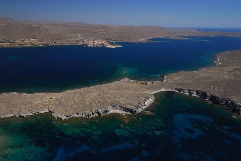 Petrified Forest of Lesvos - Nissiope Park - Image 1