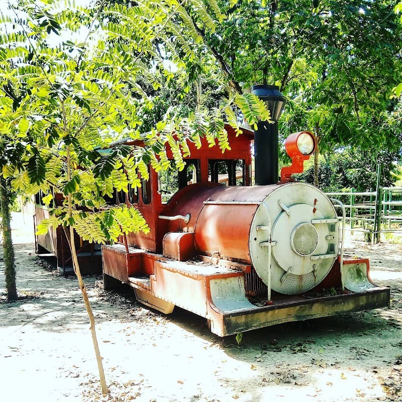 Temático Bosque Macuto Park - Image 3