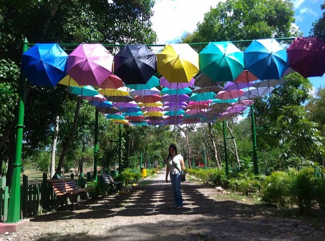 Temático Bosque Macuto Park - Image 2