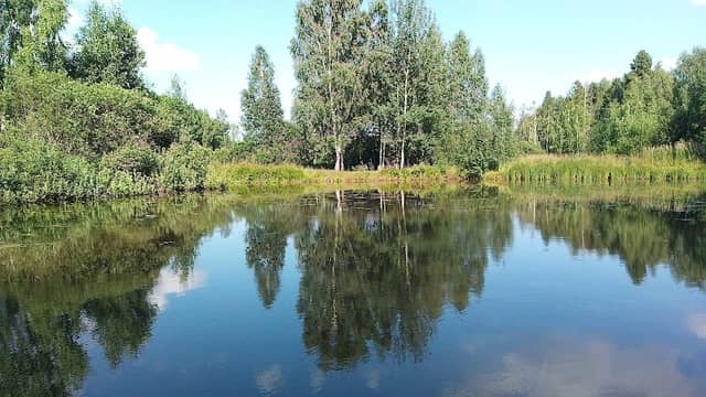 Ashukino Park - Image 1