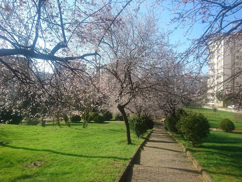 Gaffar Okan Parkı - Image 1