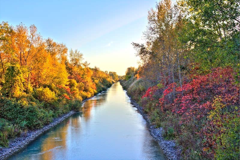 Black River Canal - Image 2