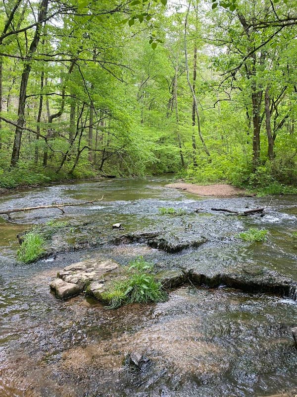 Buffalo Springs Waterfall - Image 3