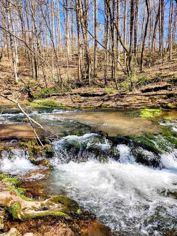 Buffalo Springs Waterfall - Image 2