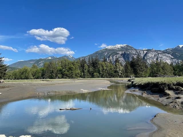 Squamish Estuary - Image 1