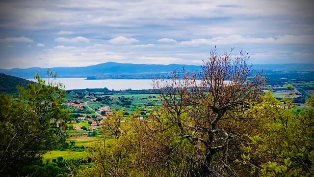 Riva Lago Trasimeno - Image 3