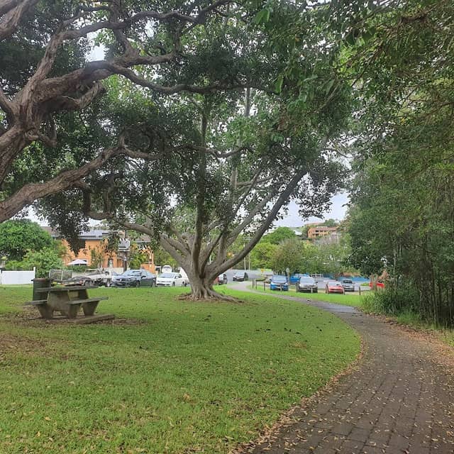 Coffs creek walk saltwater park - Image 2