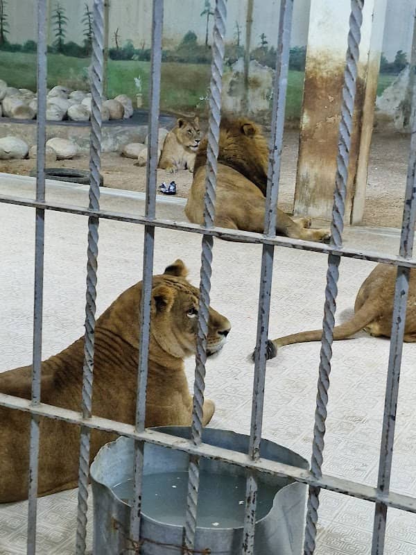 The Jordan Zoo - Image 1