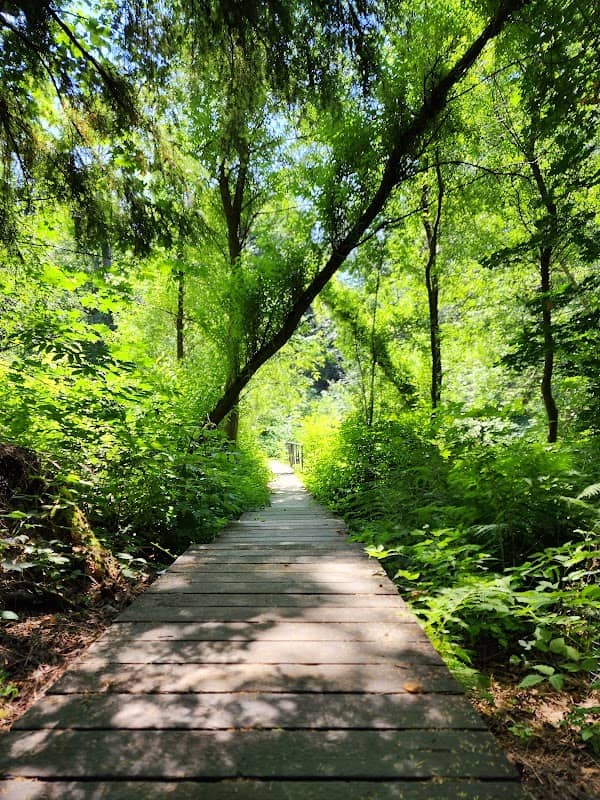 Yost Park - Image 2