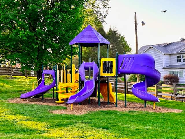 Mayor's Park, Young Harris - Image 2