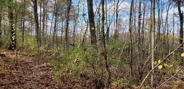Brighton Recreation Area - Image 2