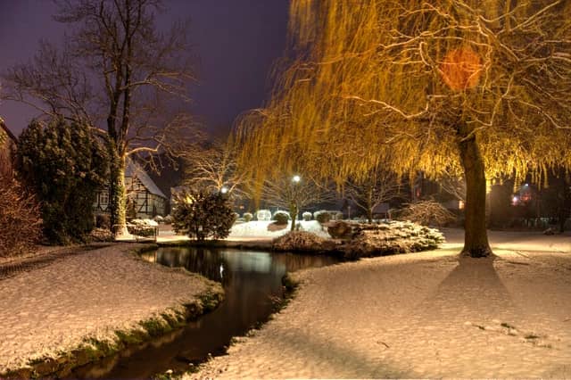 Lauensteiner Bürgergarten - Image 1