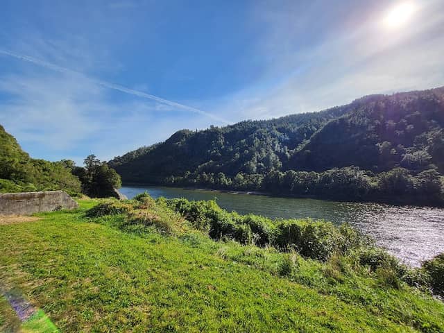 Lower Buller Gorge scenic reserve - Image 2