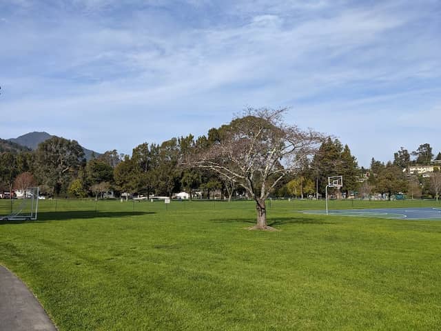 Corte Madera Town Park - Image 2