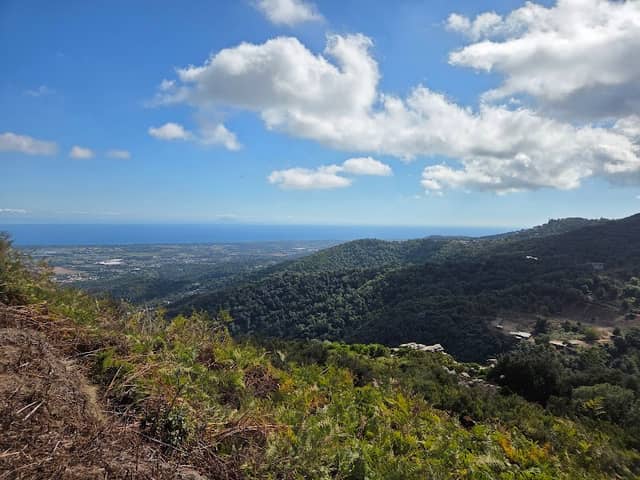 Chemin du macinaghju - Chjassu di Macinaghju - Image 1