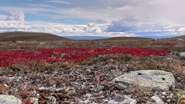 Toppen av Slettefjell - Image 1